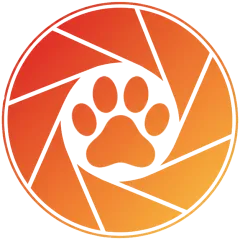 PawShoot